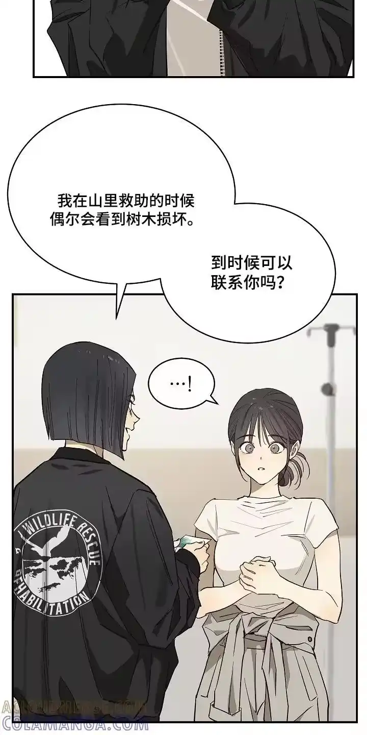 花是诱饵_h 第82章：她很坚强 第13页