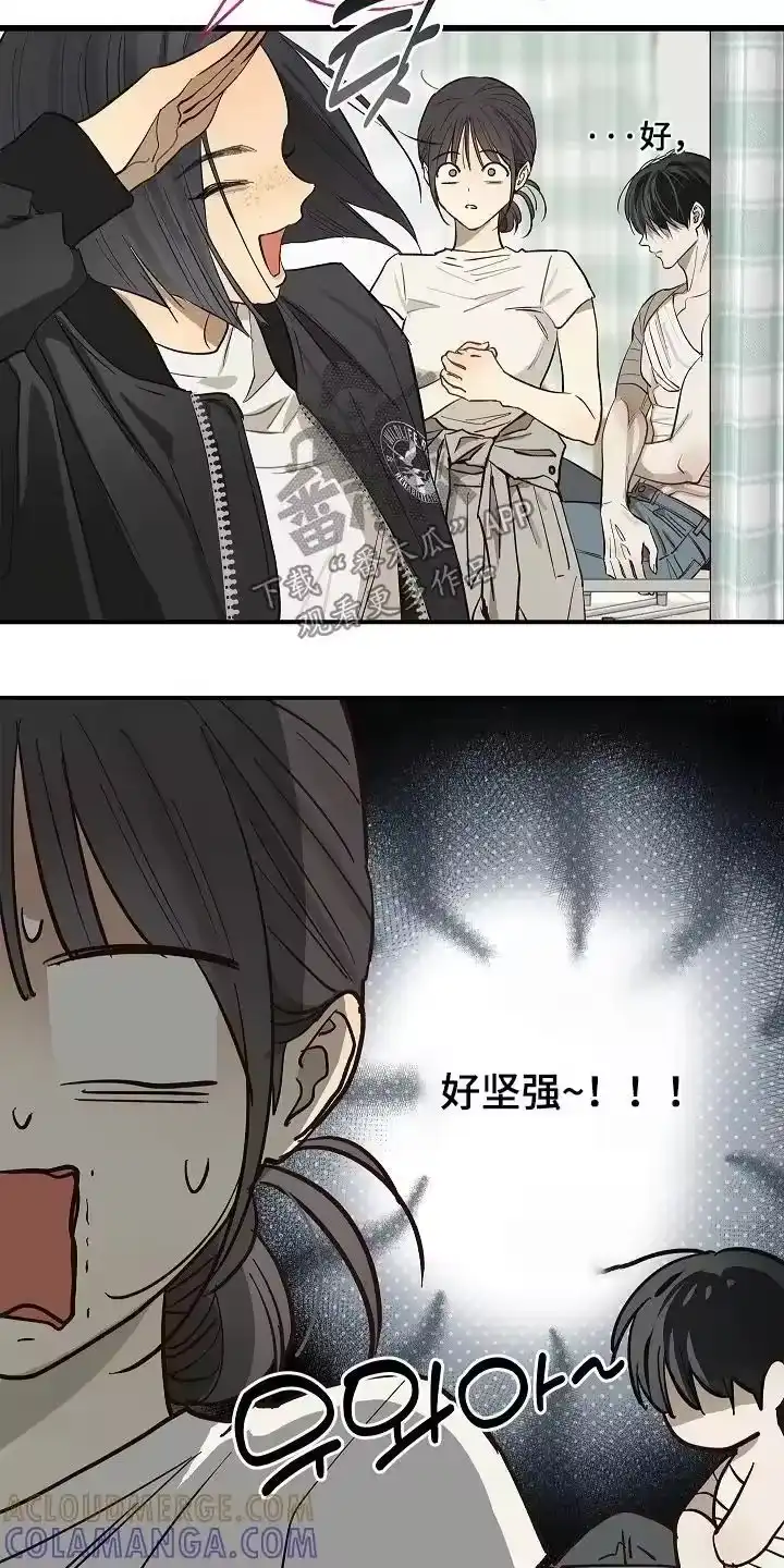 花是诱饵_h 第82章：她很坚强 第19页