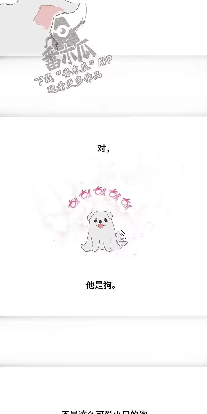 花是诱饵_h 第83章：去洗澡 第14页