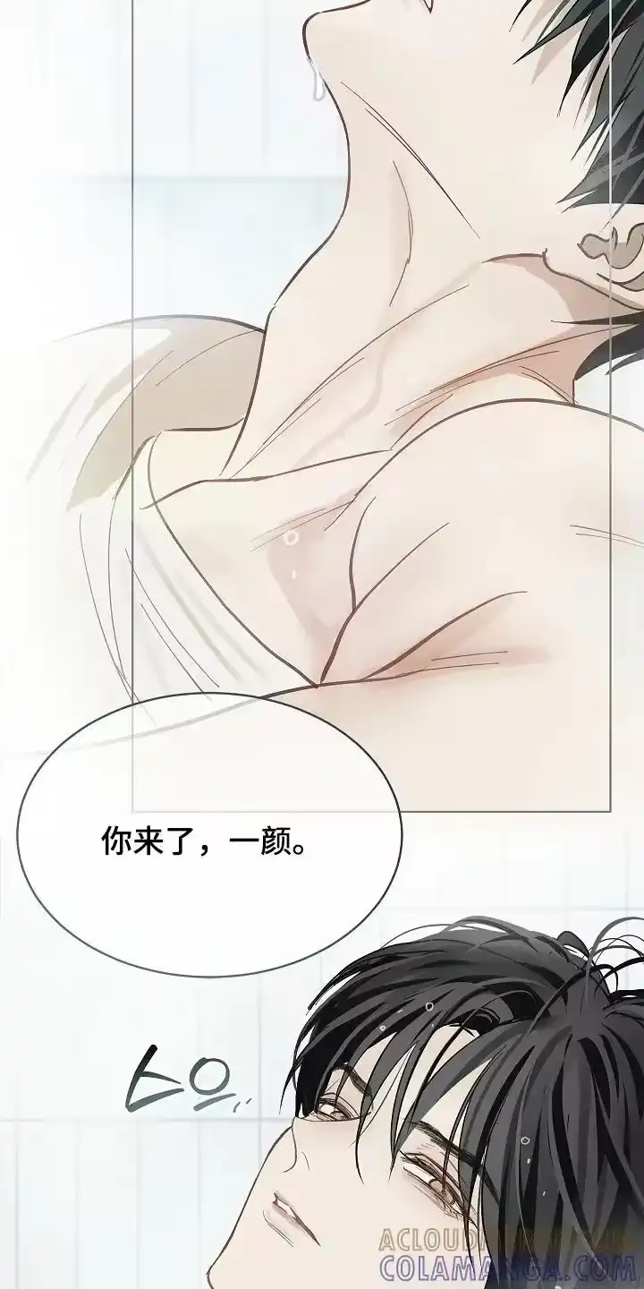 花是诱饵_h 第83章：去洗澡 第19页