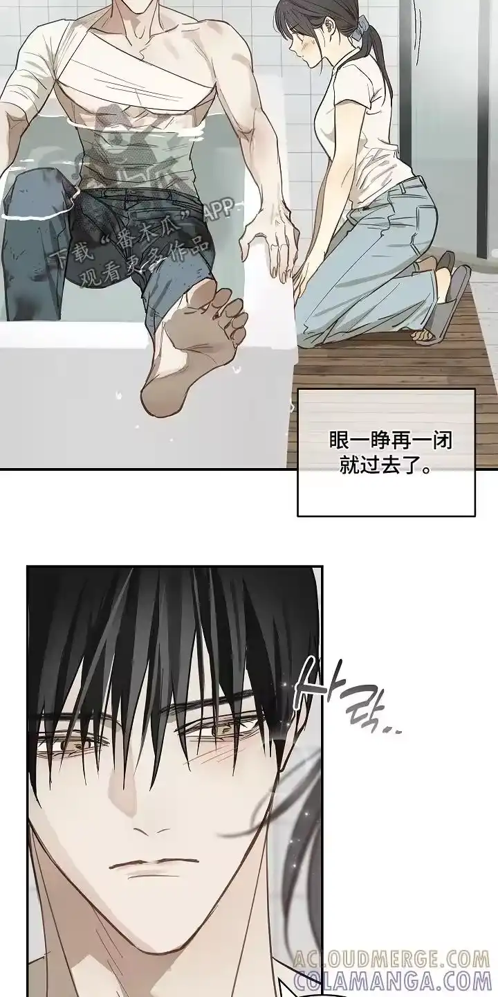 花是诱饵_h 第83章：去洗澡 第29页