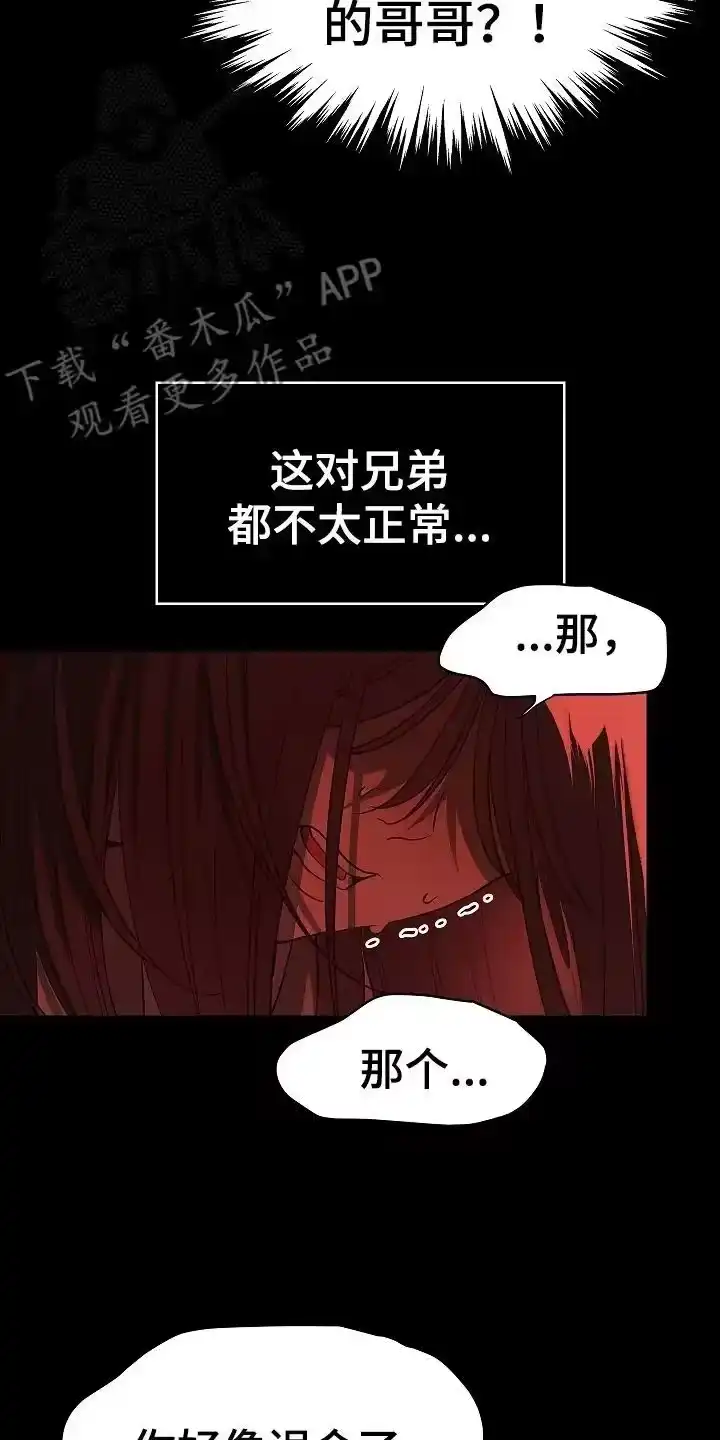 花是诱饵_h 第7章：杀人犯的哥哥 第8页