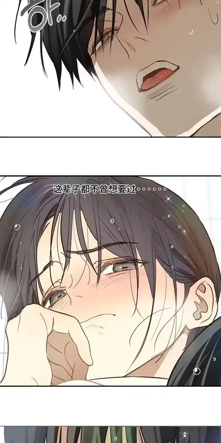 花是诱饵_h 第85章：你有伤 第11页
