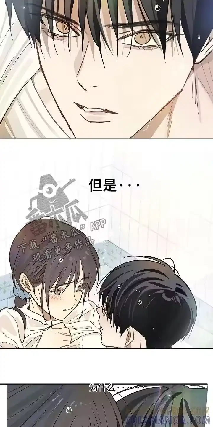 花是诱饵_h 第85章：你有伤 第12页
