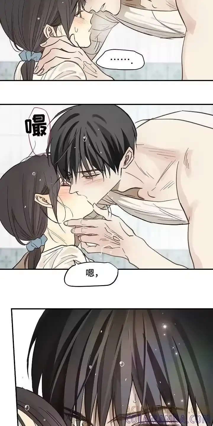 花是诱饵_h 第85章：你有伤 第14页