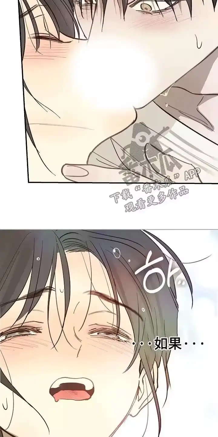花是诱饵_h 第85章：你有伤 第15页