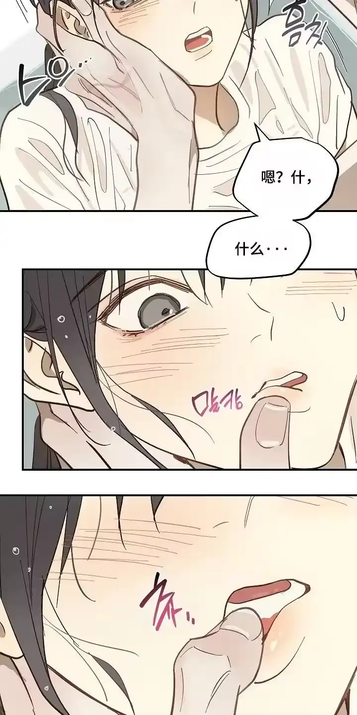 花是诱饵_h 第85章：你有伤 第2页