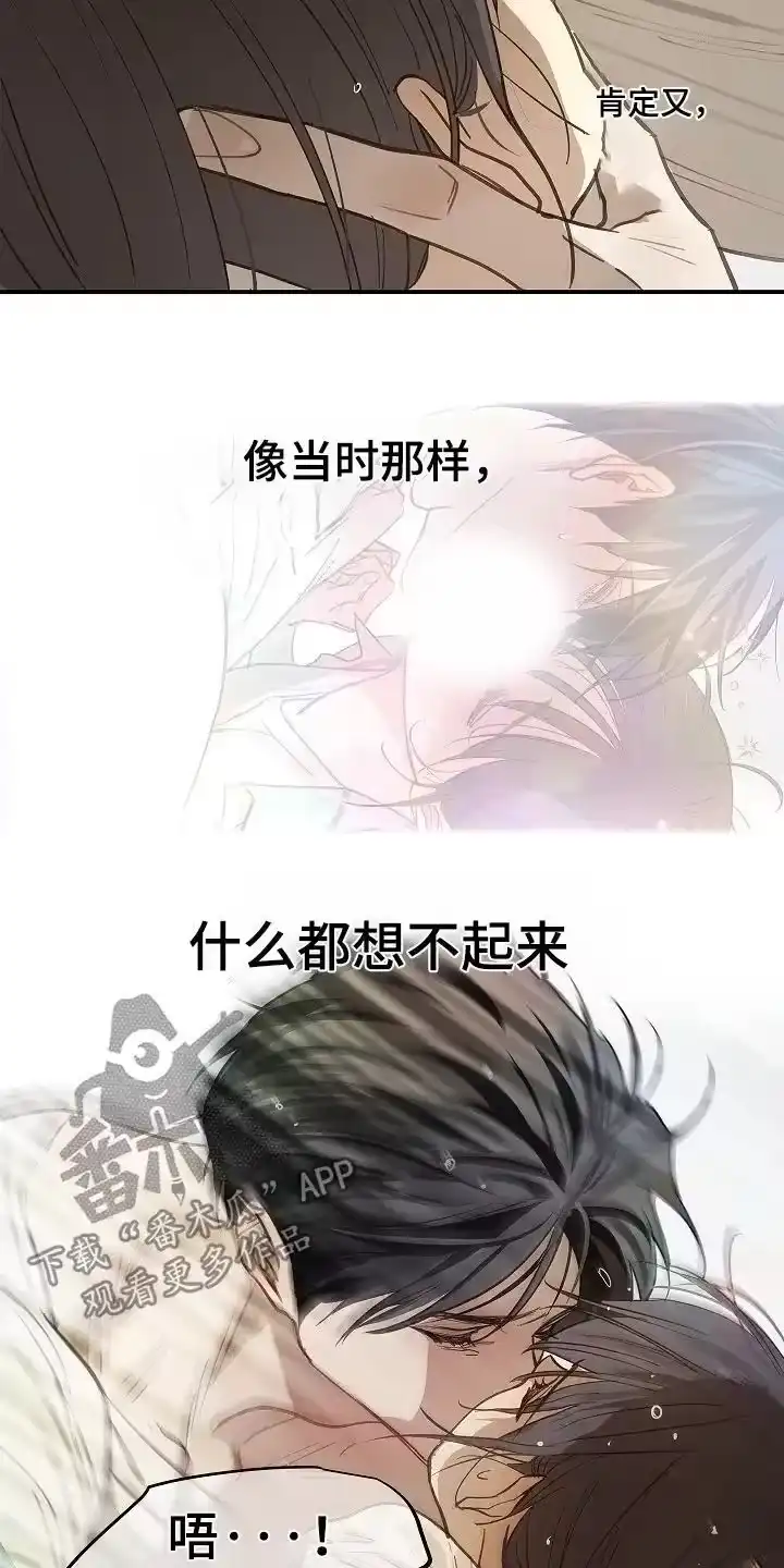 花是诱饵_h 第85章：你有伤 第6页