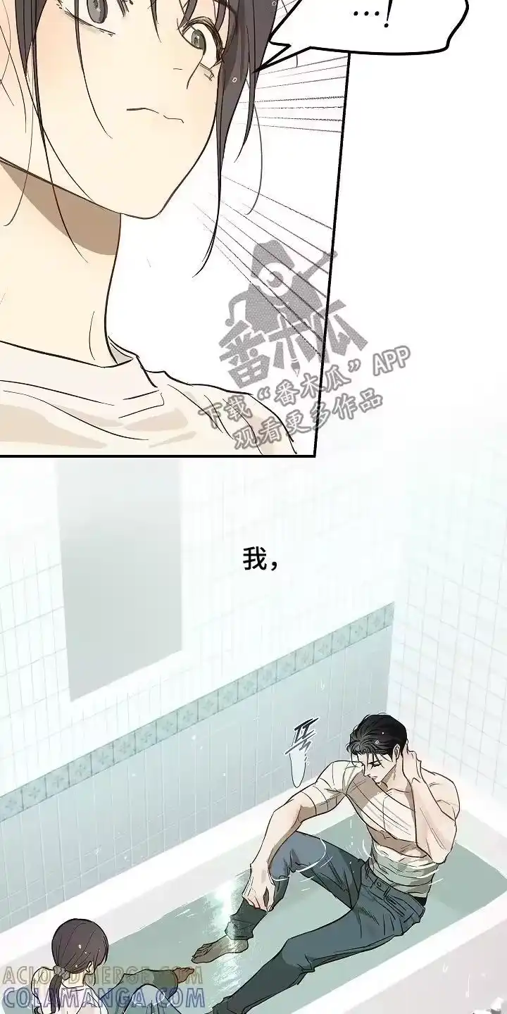 花是诱饵_h 第86章：怎样的心情 第13页
