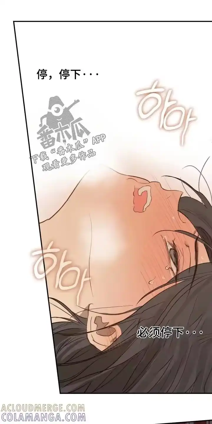 花是诱饵_h 第87章：快停下 第11页
