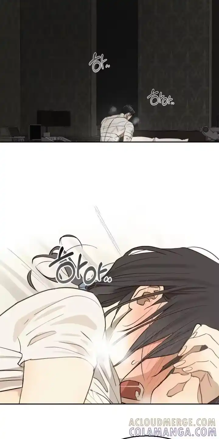 花是诱饵_h 第87章：快停下 第15页