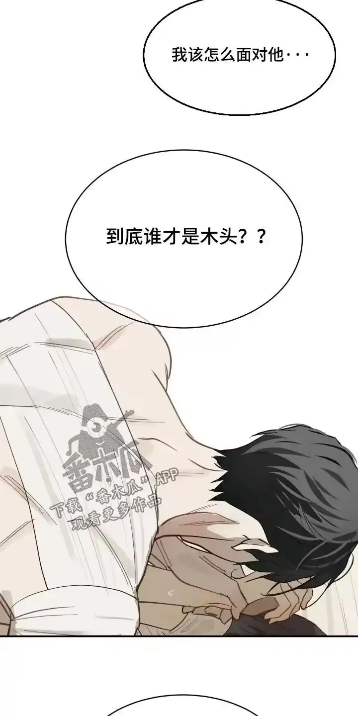 花是诱饵_h 第87章：快停下 第16页