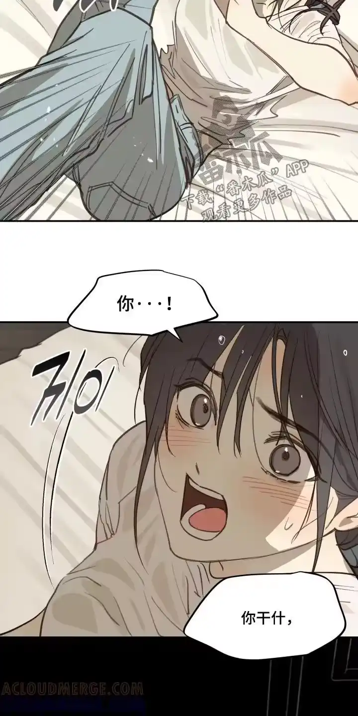 花是诱饵_h 第87章：快停下 第3页
