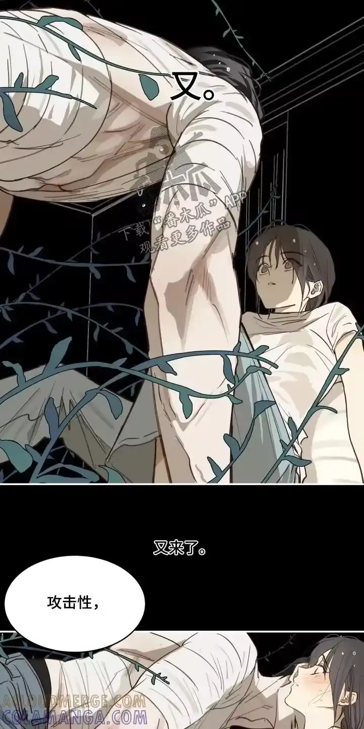 花是诱饵_h 第87章：快停下 第7页