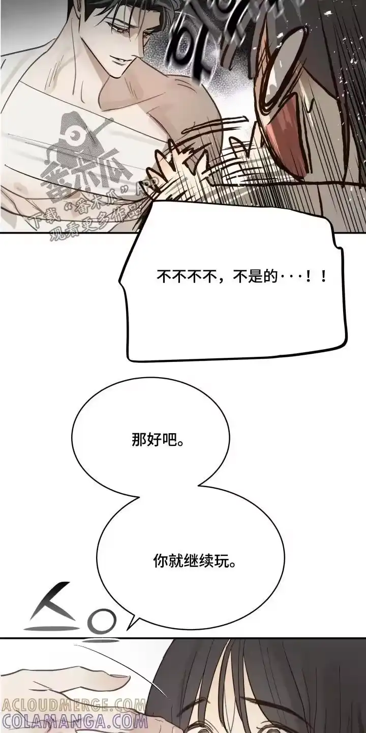 花是诱饵_h 第88章：说得好听 第13页