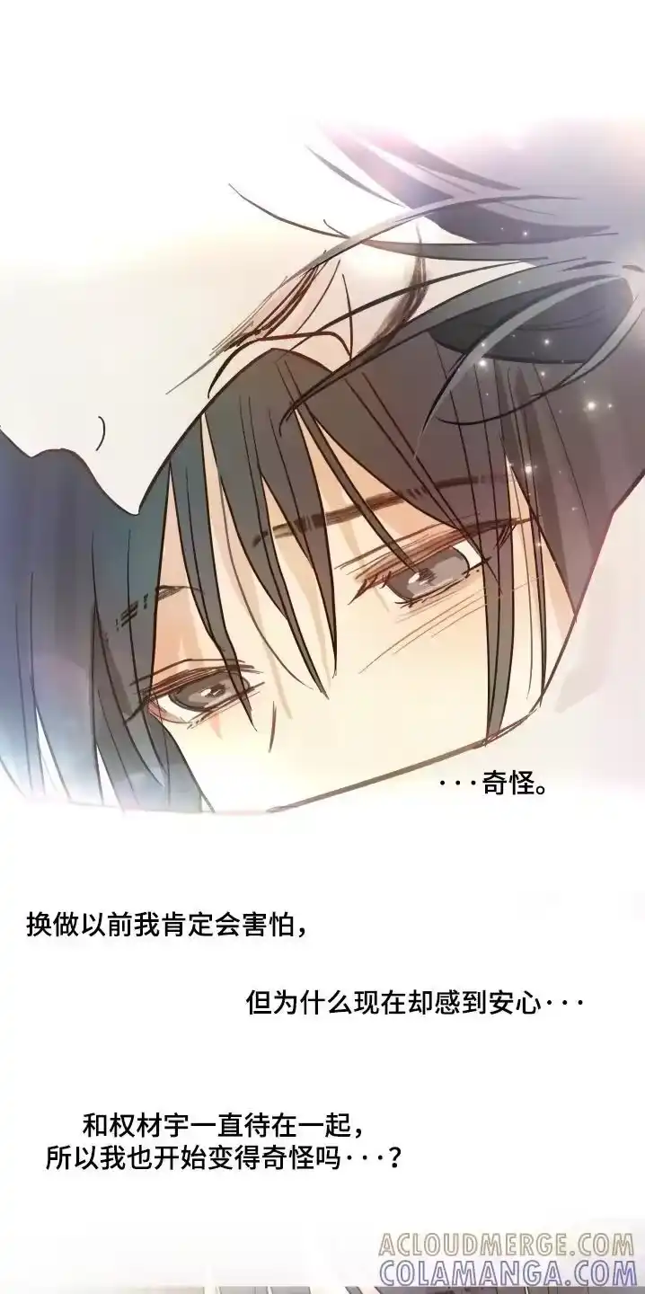 花是诱饵_h 第88章：说得好听 第17页