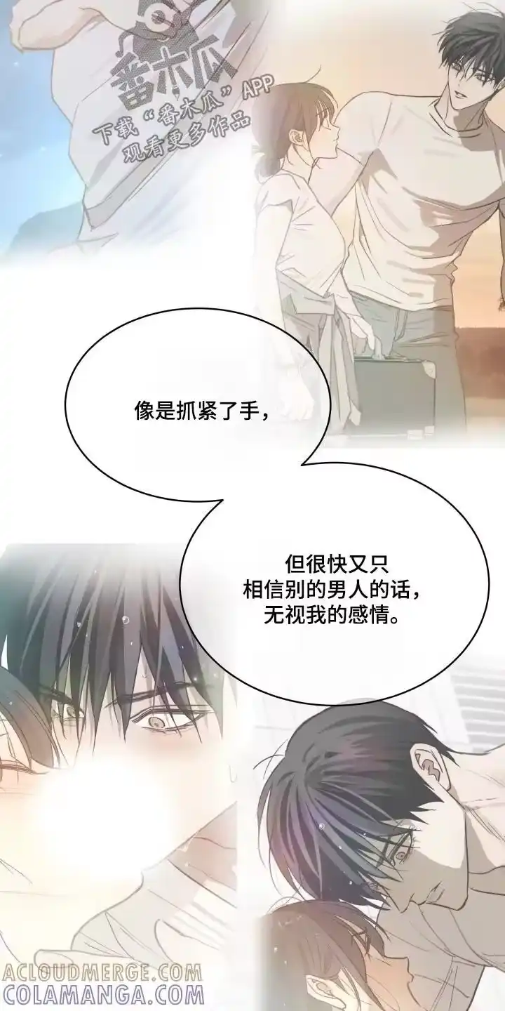 花是诱饵_h 第88章：说得好听 第5页