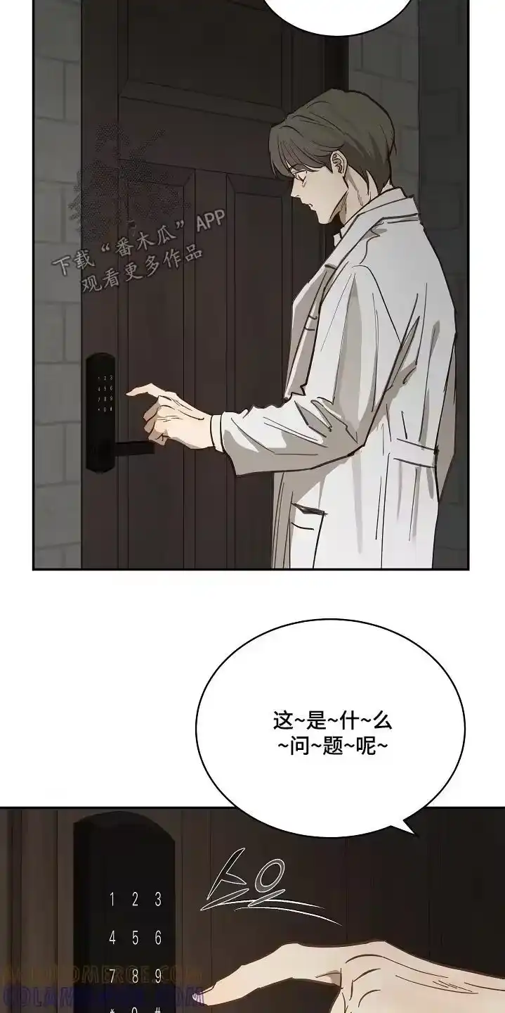 花是诱饵_h 第89章：什么都可以 第11页