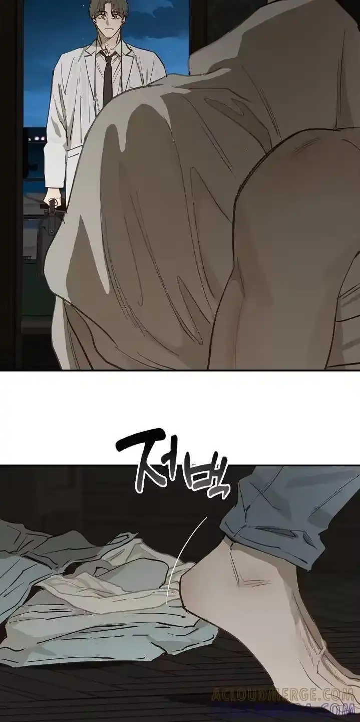 花是诱饵_h 第89章：什么都可以 第19页