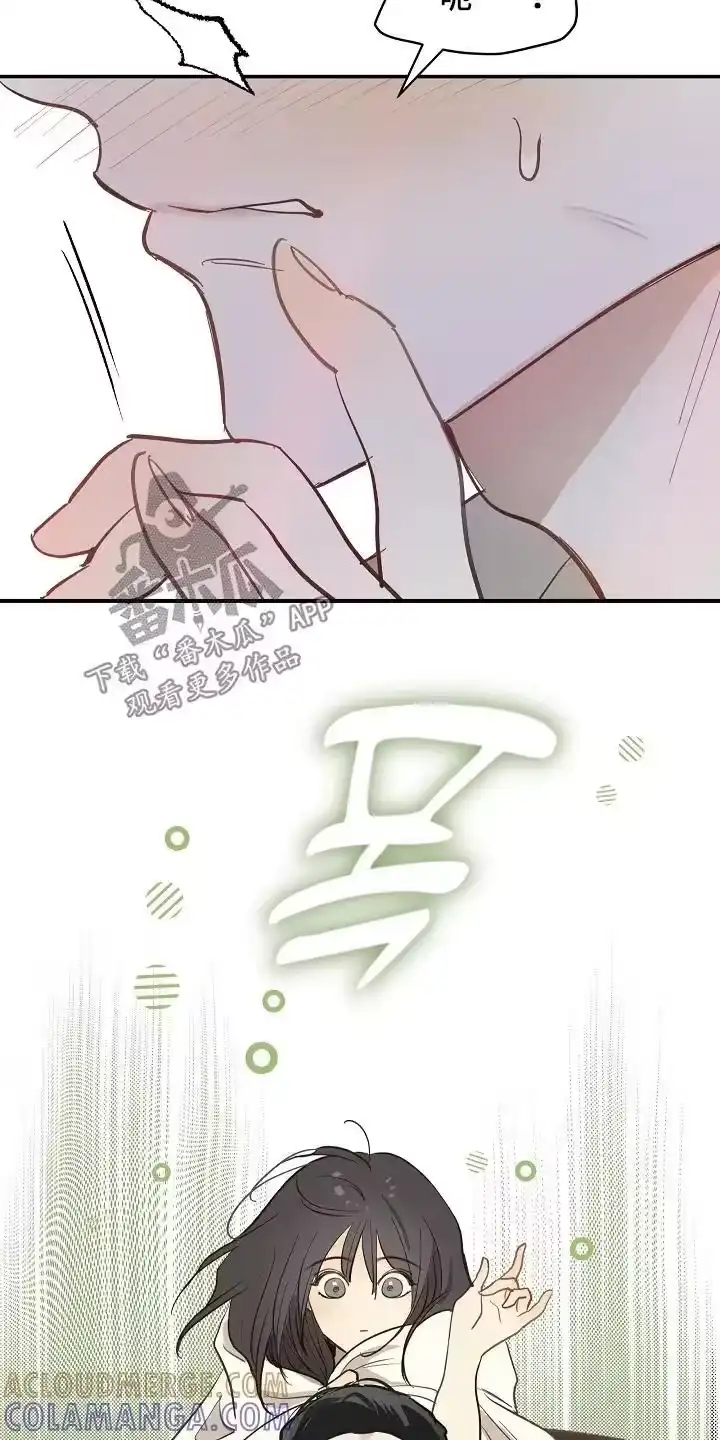 花是诱饵_h 第90章：我不知道密码 第19页