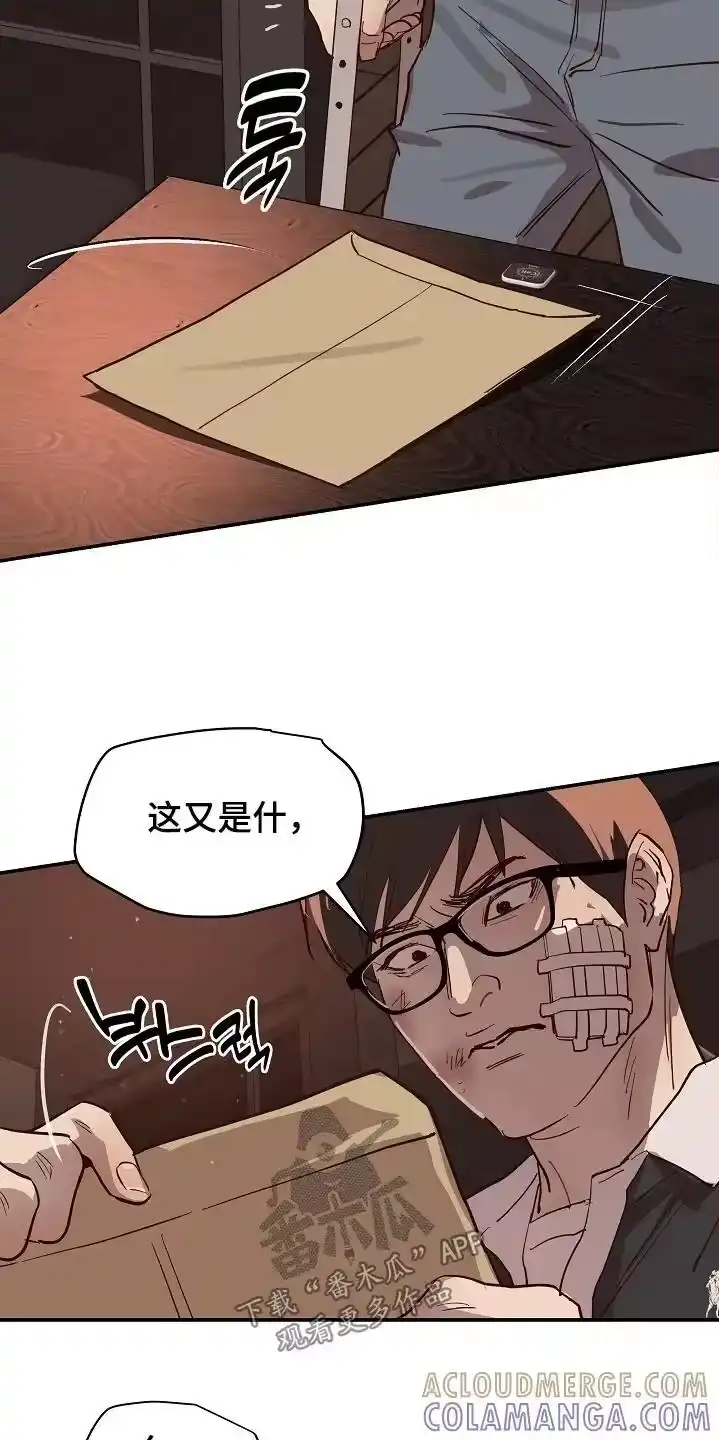 花是诱饵_h 第91章：明明删除了【第一季完结】 第9页