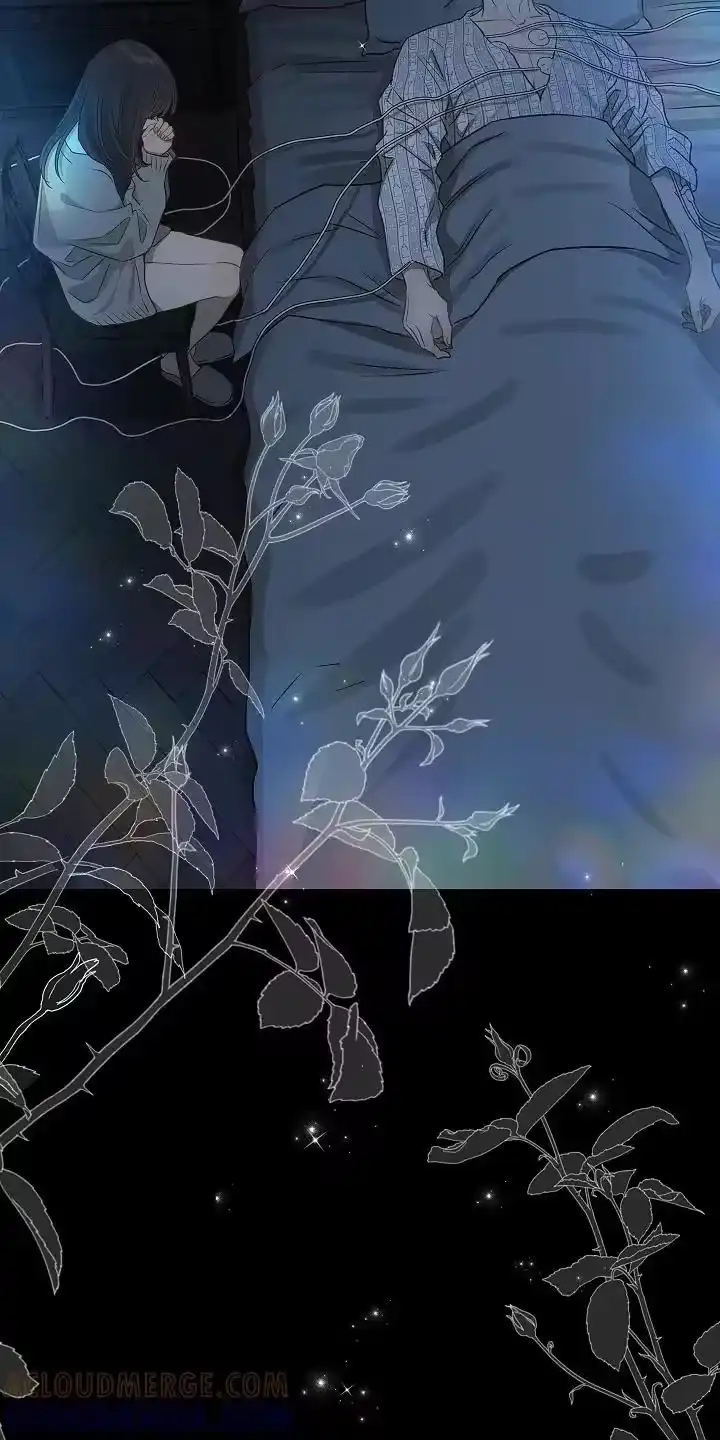 花是诱饵_h 第9章：机会 第11页