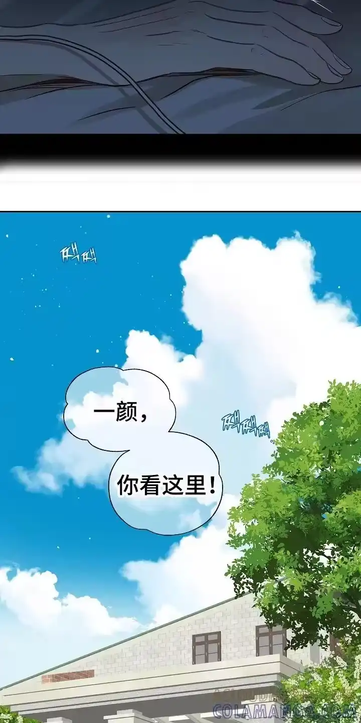 花是诱饵_h 第9章：机会 第13页