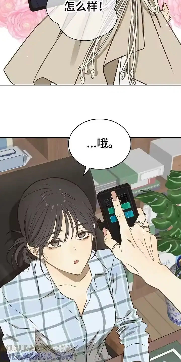 花是诱饵_h 第9章：机会 第15页