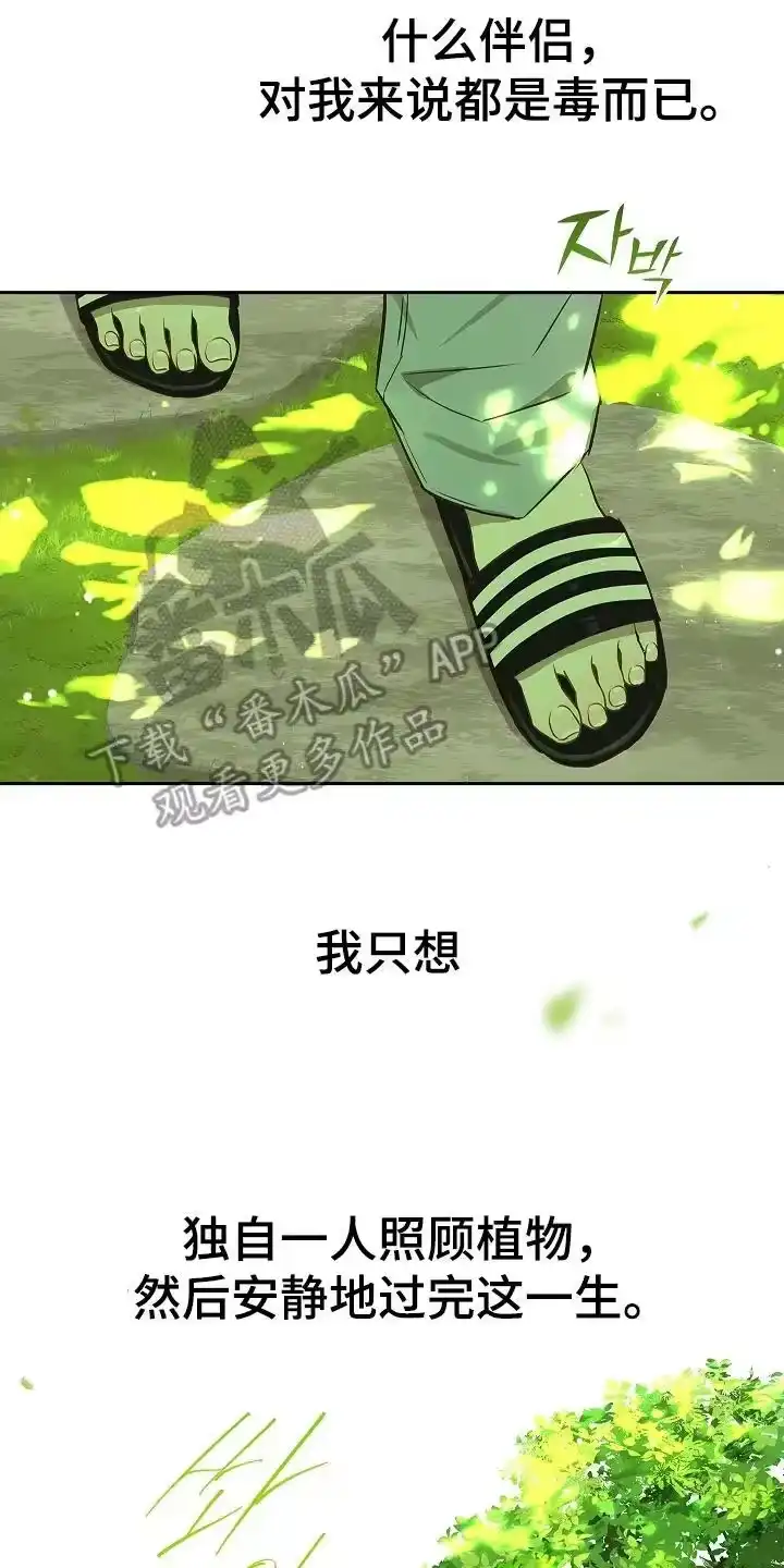 花是诱饵_h 第10章：磨平 第14页