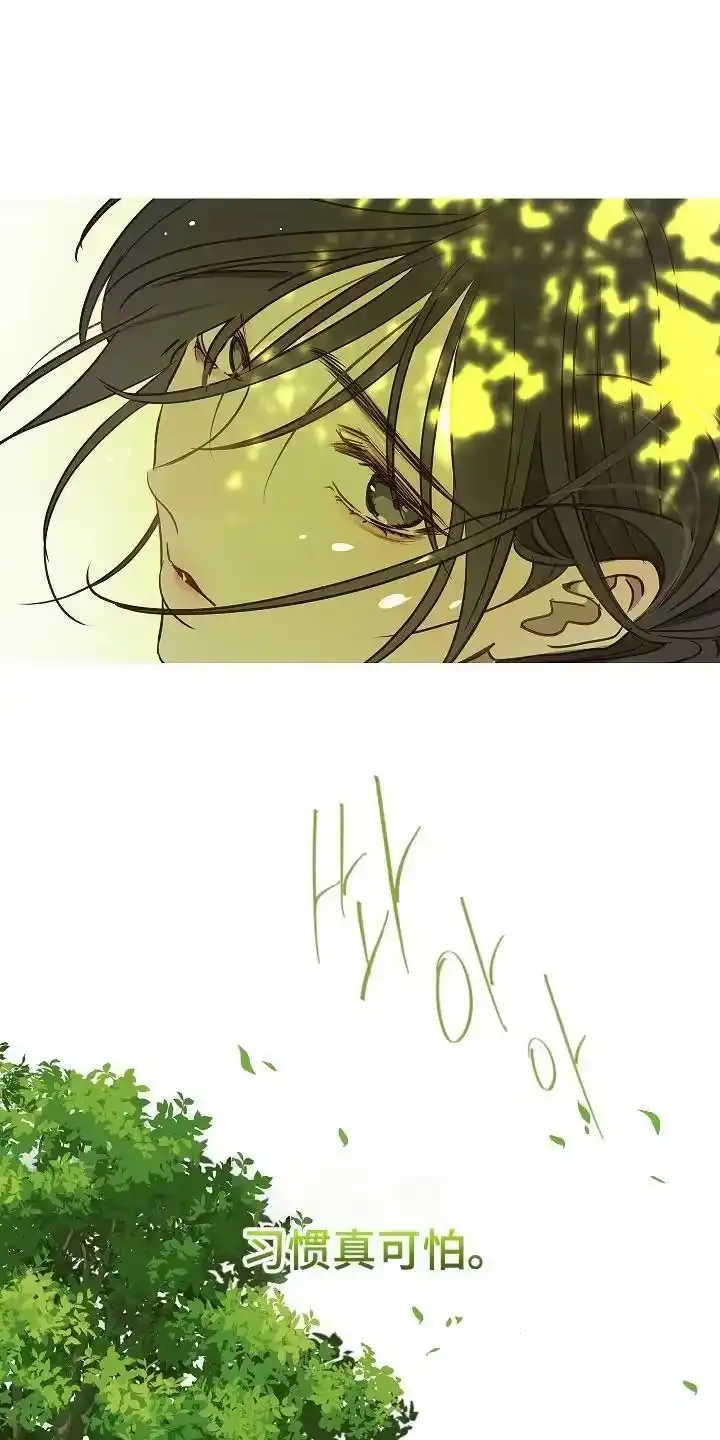 花是诱饵_h 第10章：磨平 第18页