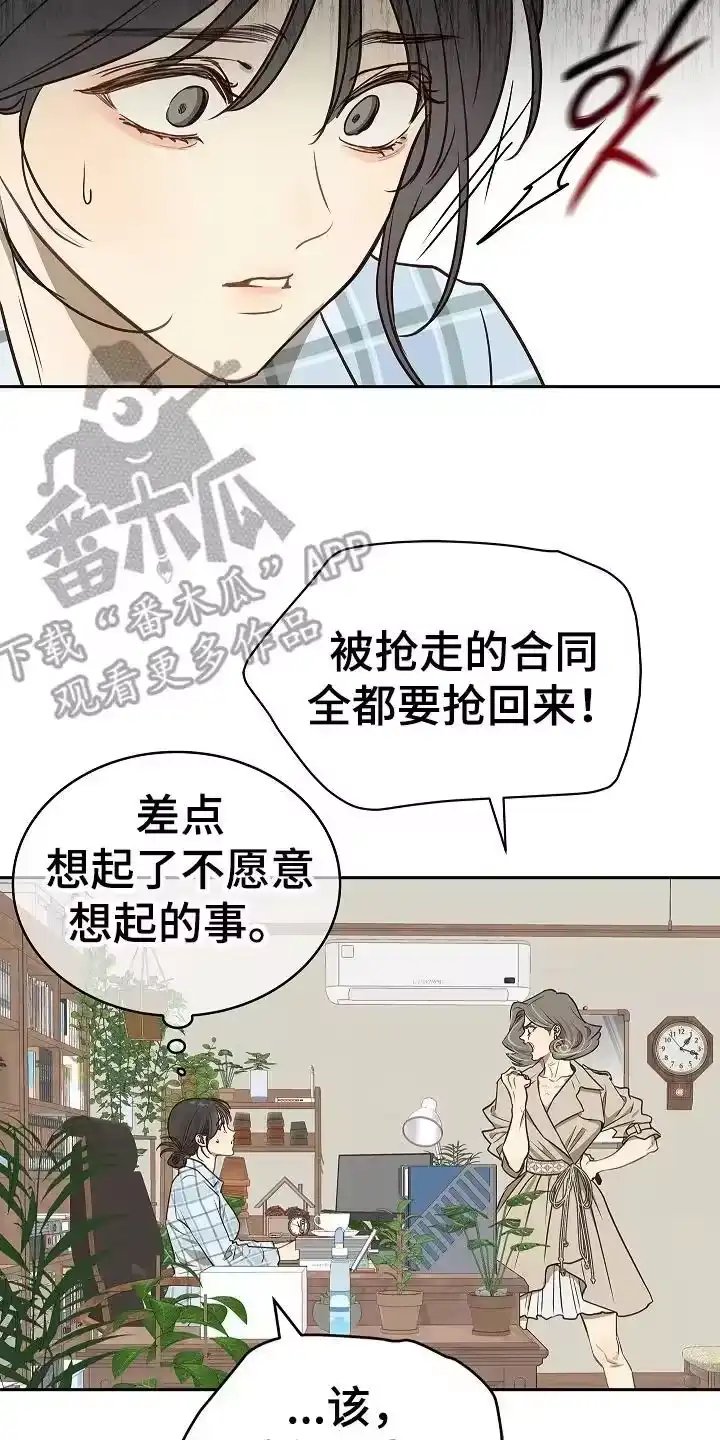 花是诱饵_h 第10章：磨平 第4页