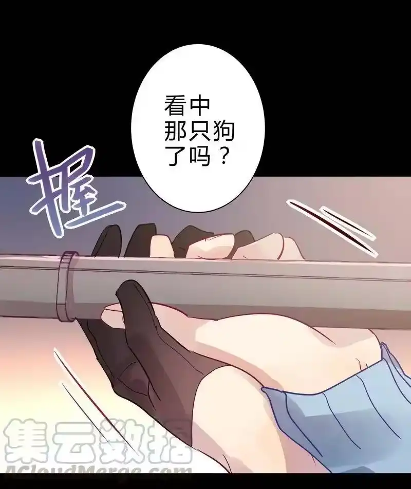 男友总在修罗场_h 033 我们玩射击 第13页