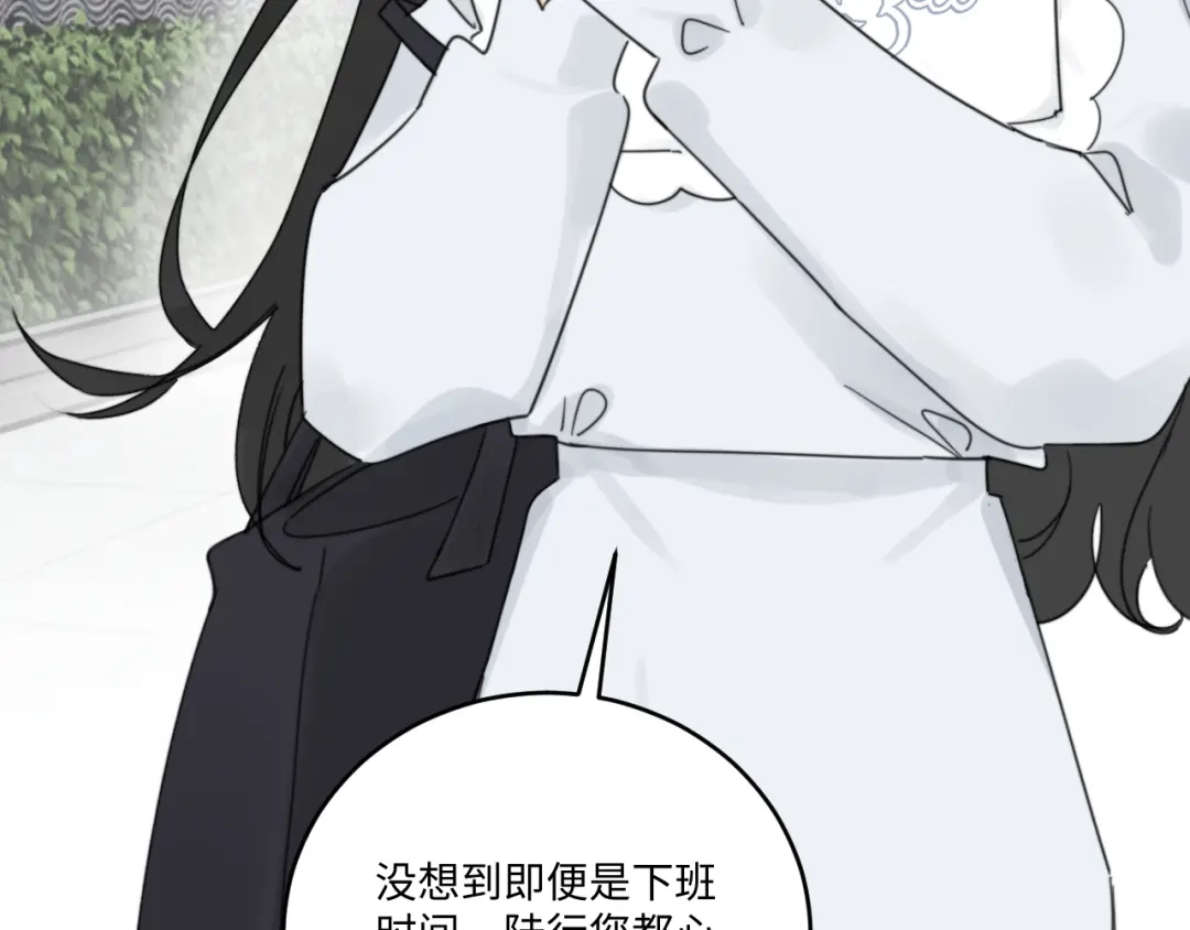 不要随便和上司作对 卫准面前，陆衍变成兔子？ 第12页