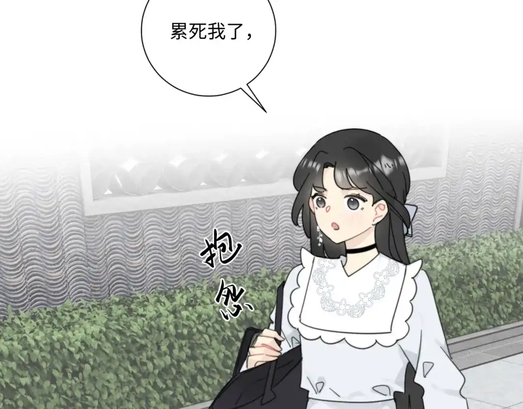 不要随便和上司作对 卫准面前，陆衍变成兔子？ 第5页