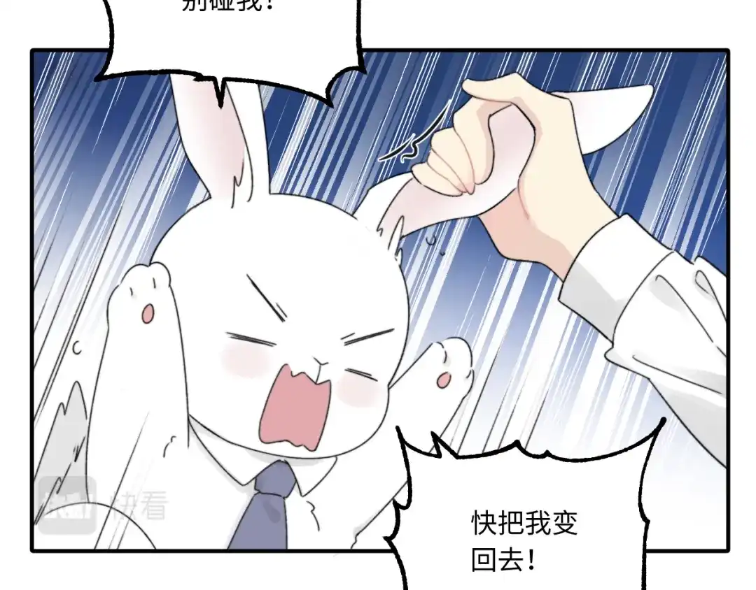 不要随便和上司作对 先把兔子带回家 第26页