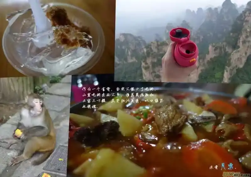 虎x鹤 妖师录_h 131 追捕 （中） 第21页