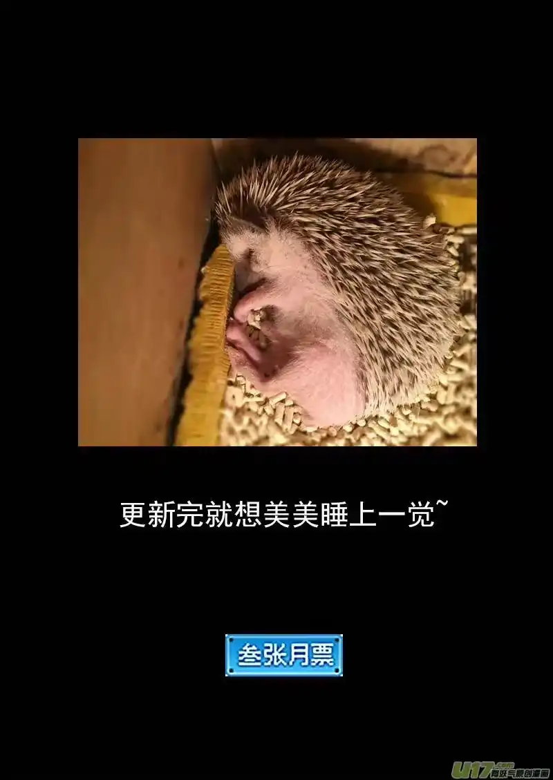 虎x鹤 妖师录_h 234 新的命运 第17页