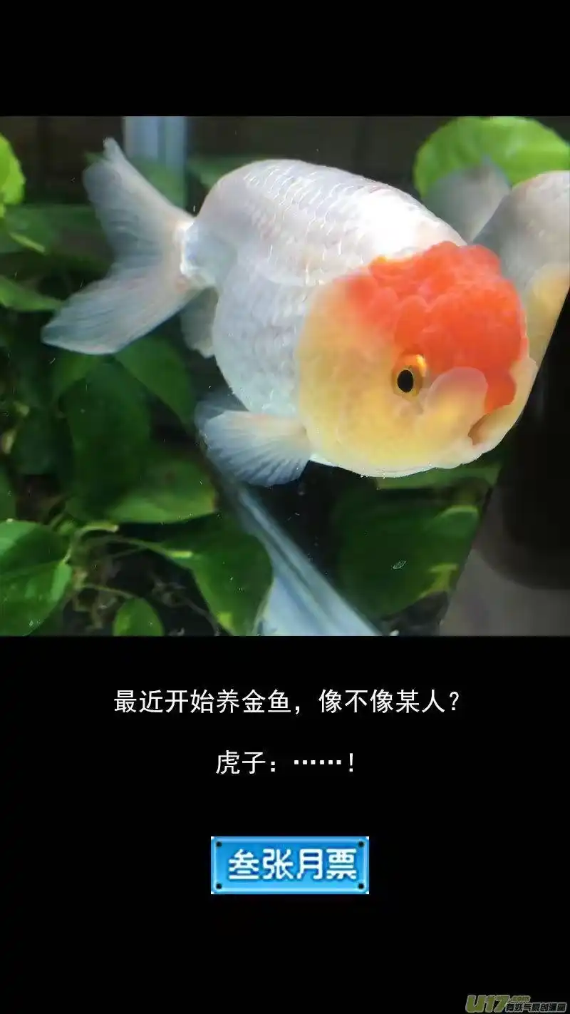 虎x鹤 妖师录_h 240 会合 第15页