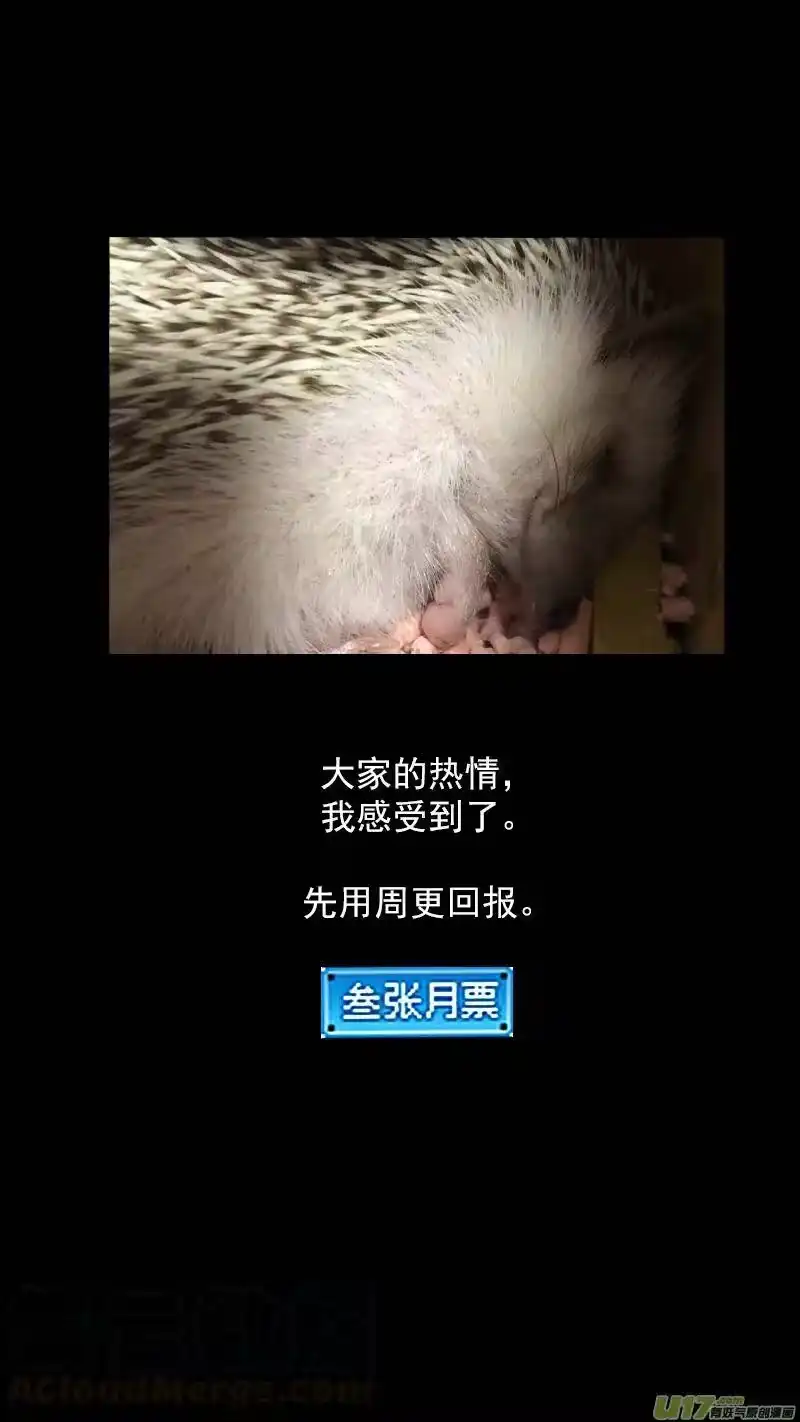 虎x鹤 妖师录_h 256 地藏的力量 第13页