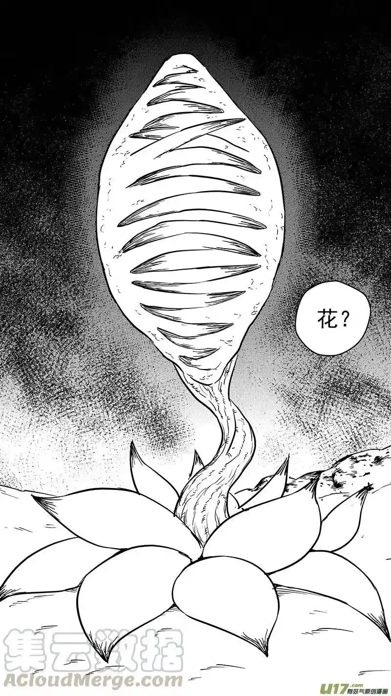 虎x鹤 妖师录_h 第380话 花园 第4页