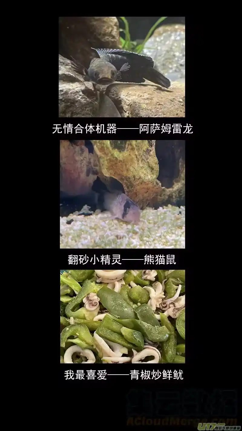 虎x鹤 妖师录_h 第425话 聚旧 第17页