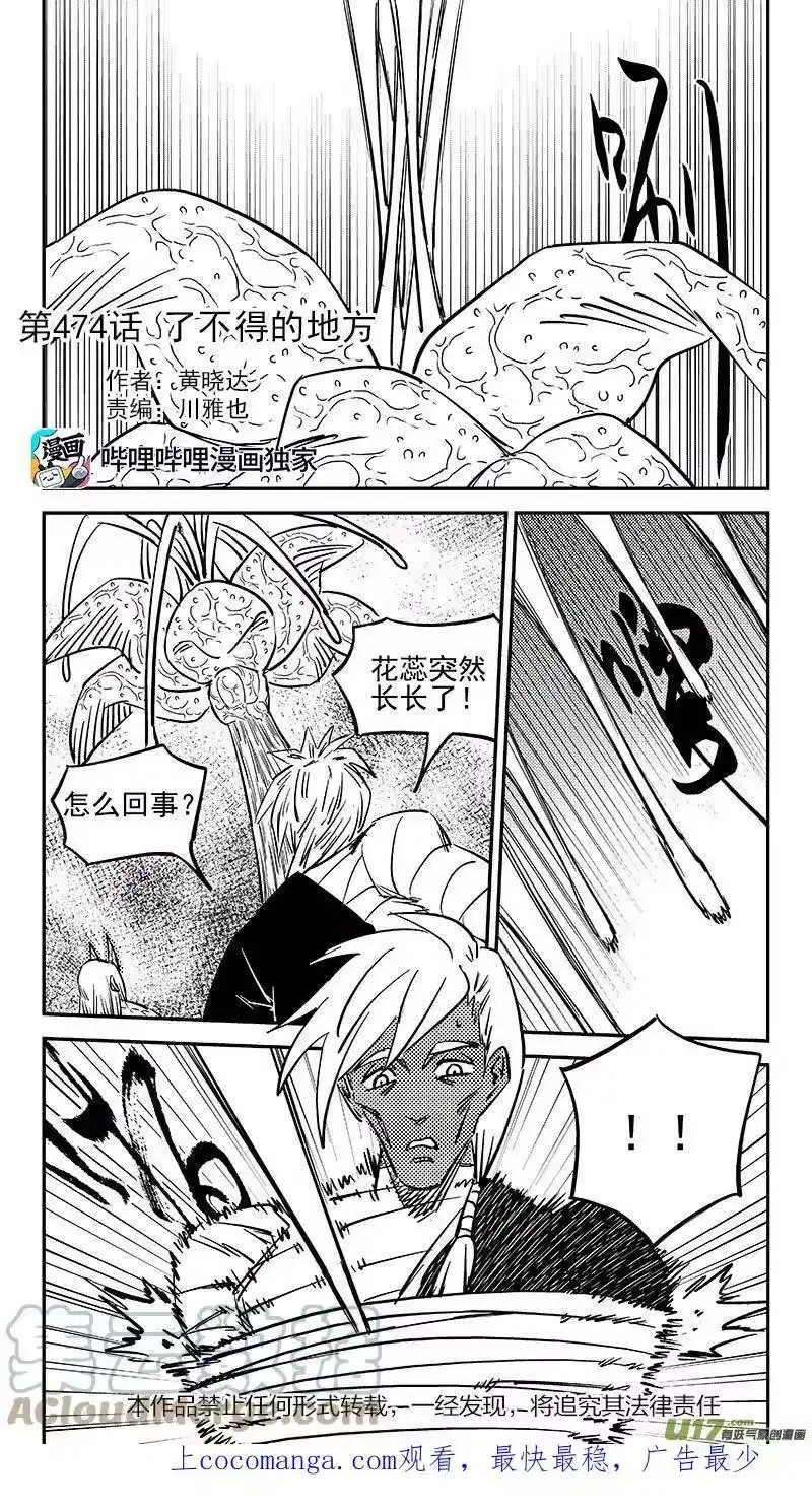 虎x鹤 妖师录_h 474 了不得的地方 第1页