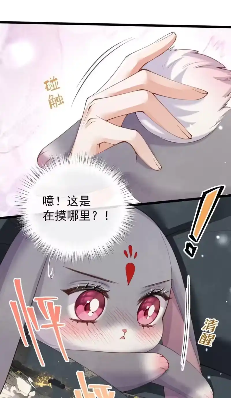 贡品的求生之路_h 010 孤男寡女 第44页