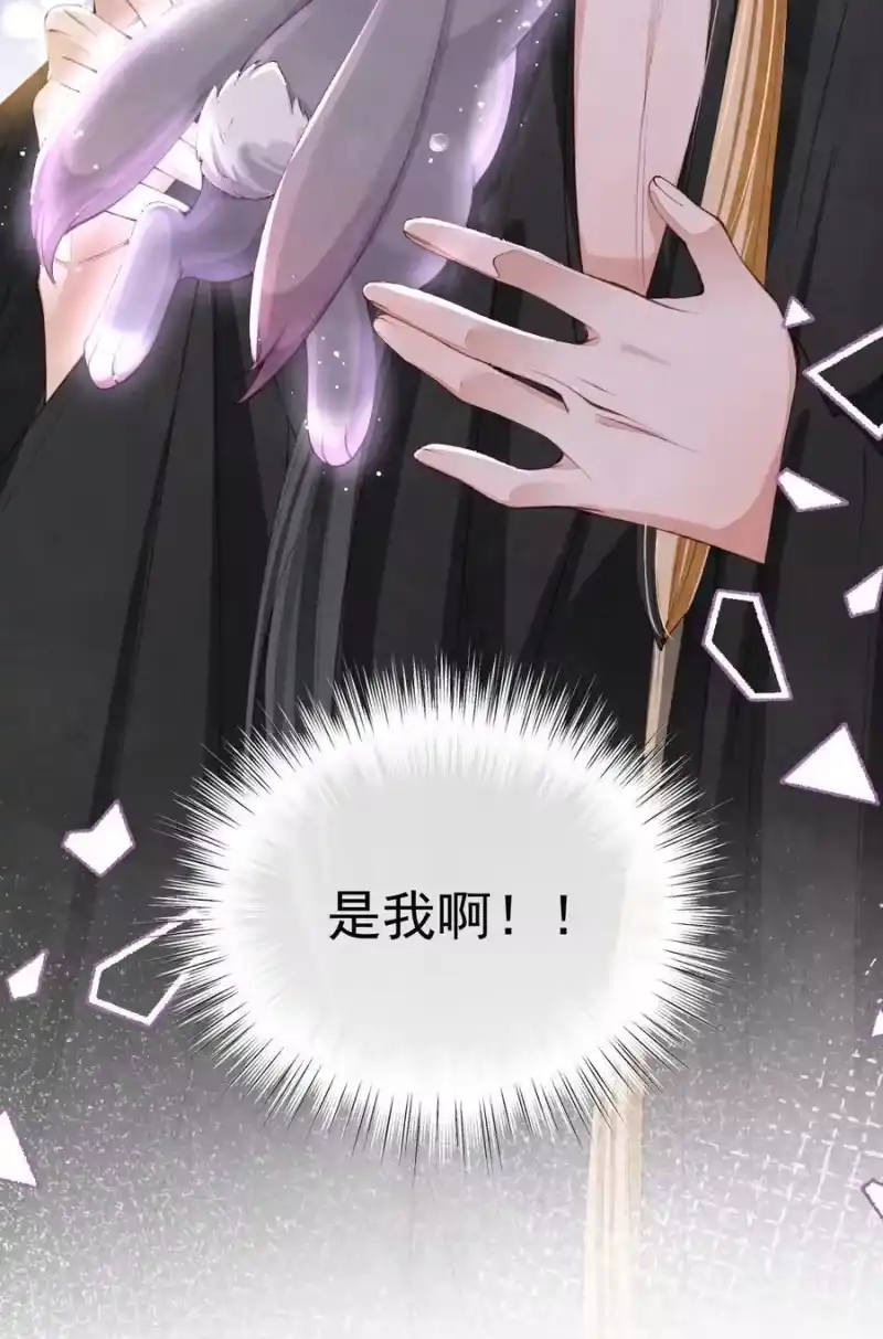 贡品的求生之路_h 011 乘蛇之危 第42页