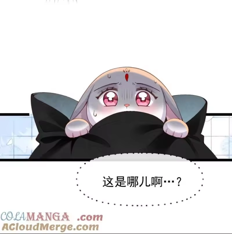 贡品的求生之路_h 016 最后一餐？ 第19页