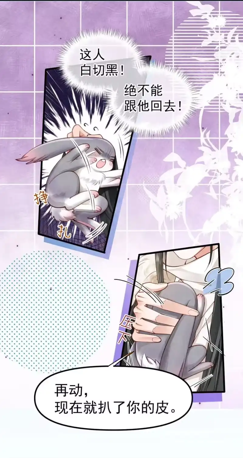 贡品的求生之路_h 01 蛇兔一窝 第28页