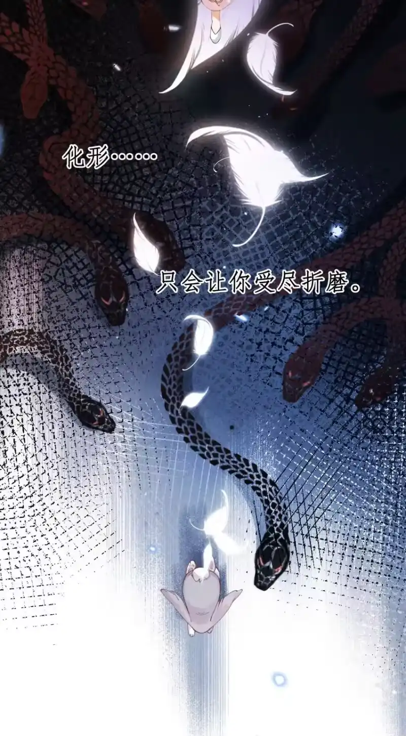 贡品的求生之路_h 01 蛇兔一窝 第5页