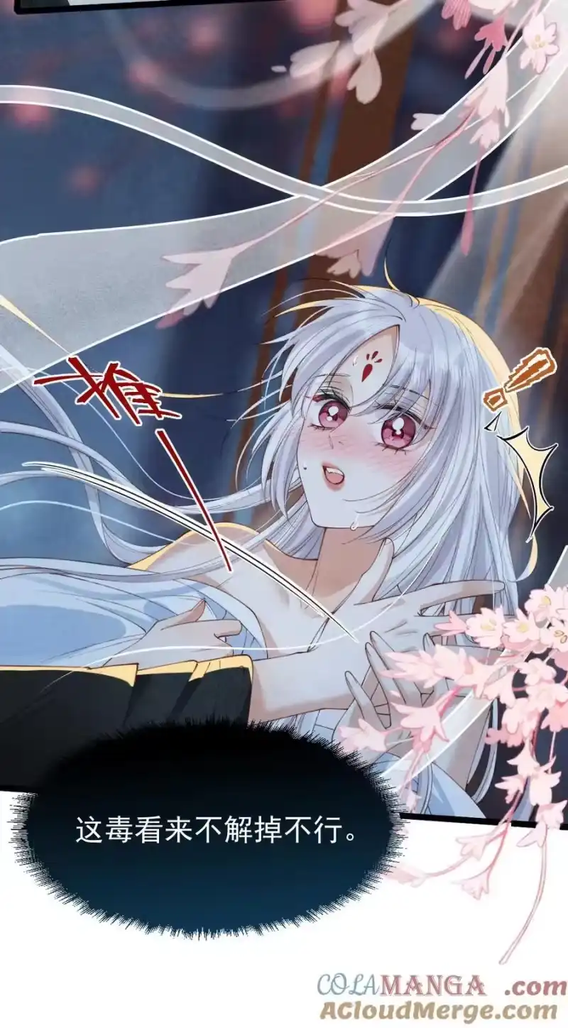 贡品的求生之路_h 019 蛇蝎美人 第16页