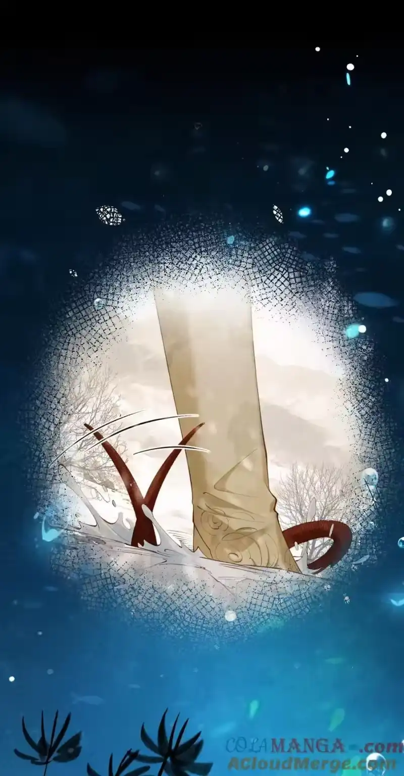 贡品的求生之路_h 020 招蛇引鱼 第16页
