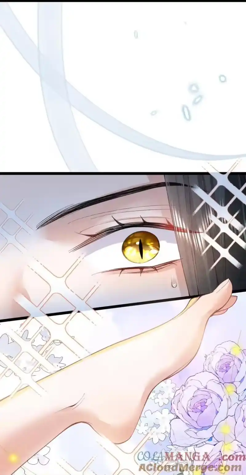 贡品的求生之路_h 023 假戏真做 第7页